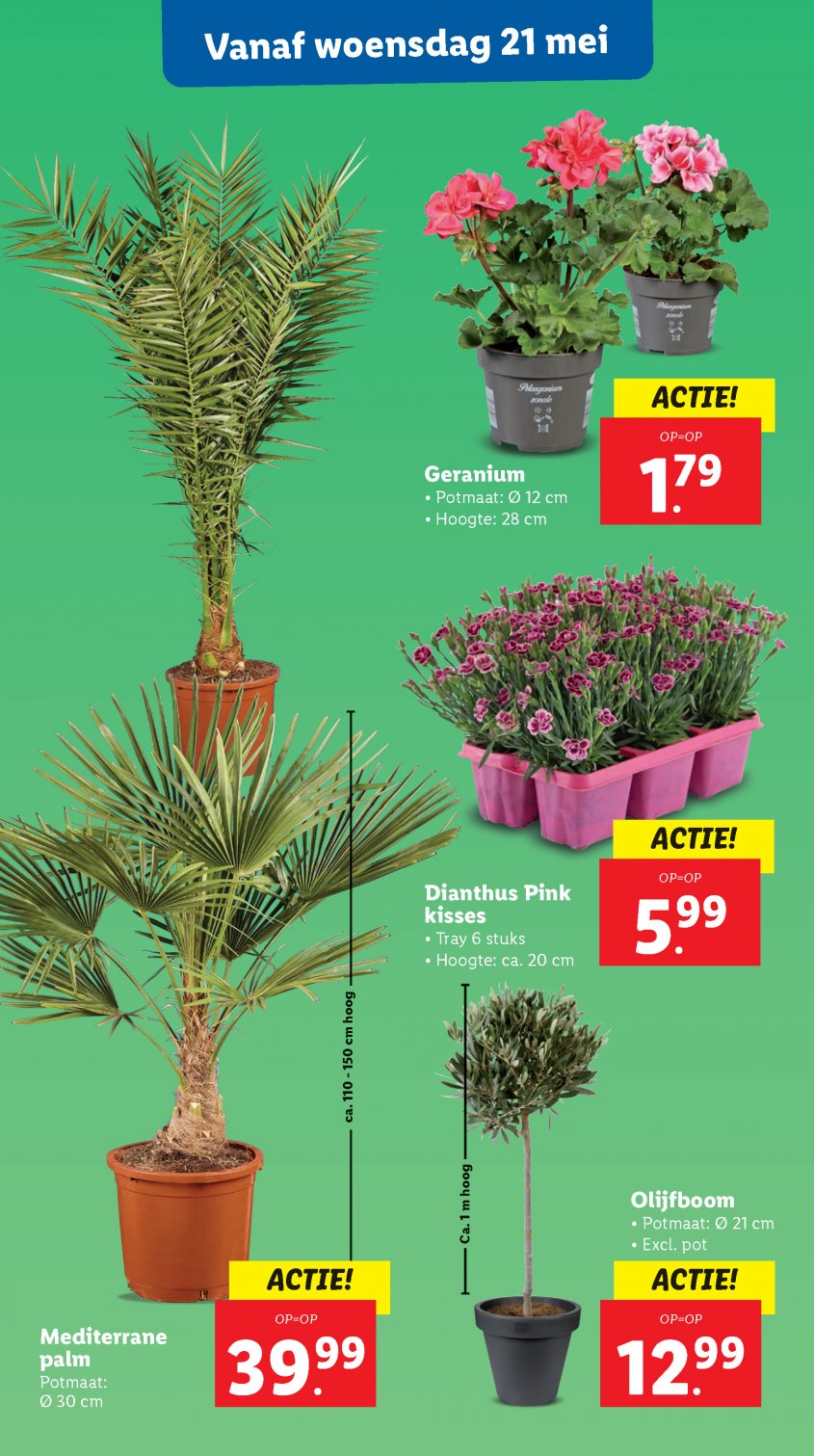 Lidl Aanbiedingen van 19-05-2025 pagina.18