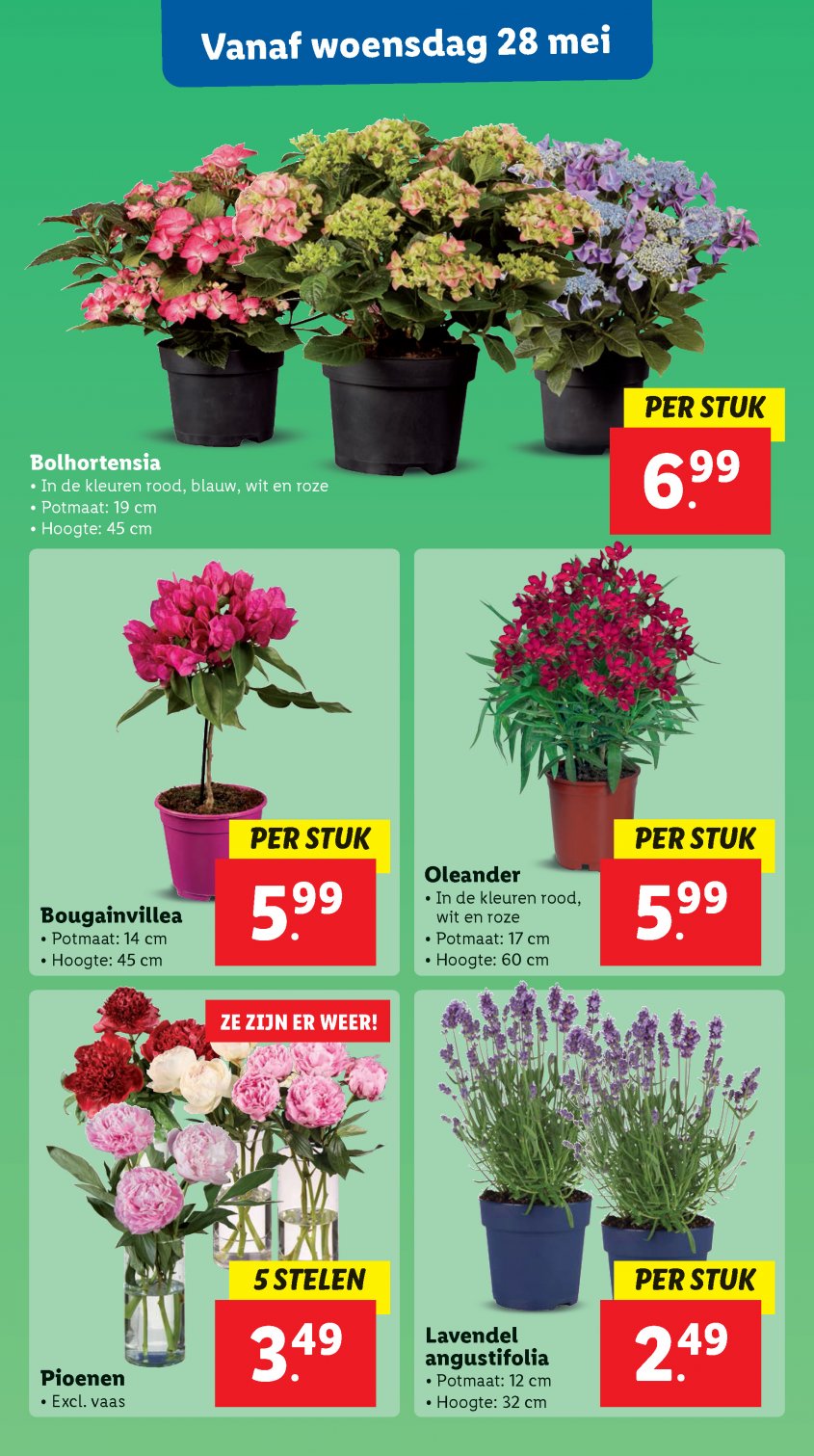 Lidl Aanbiedingen van 26-05-2025 pagina.50