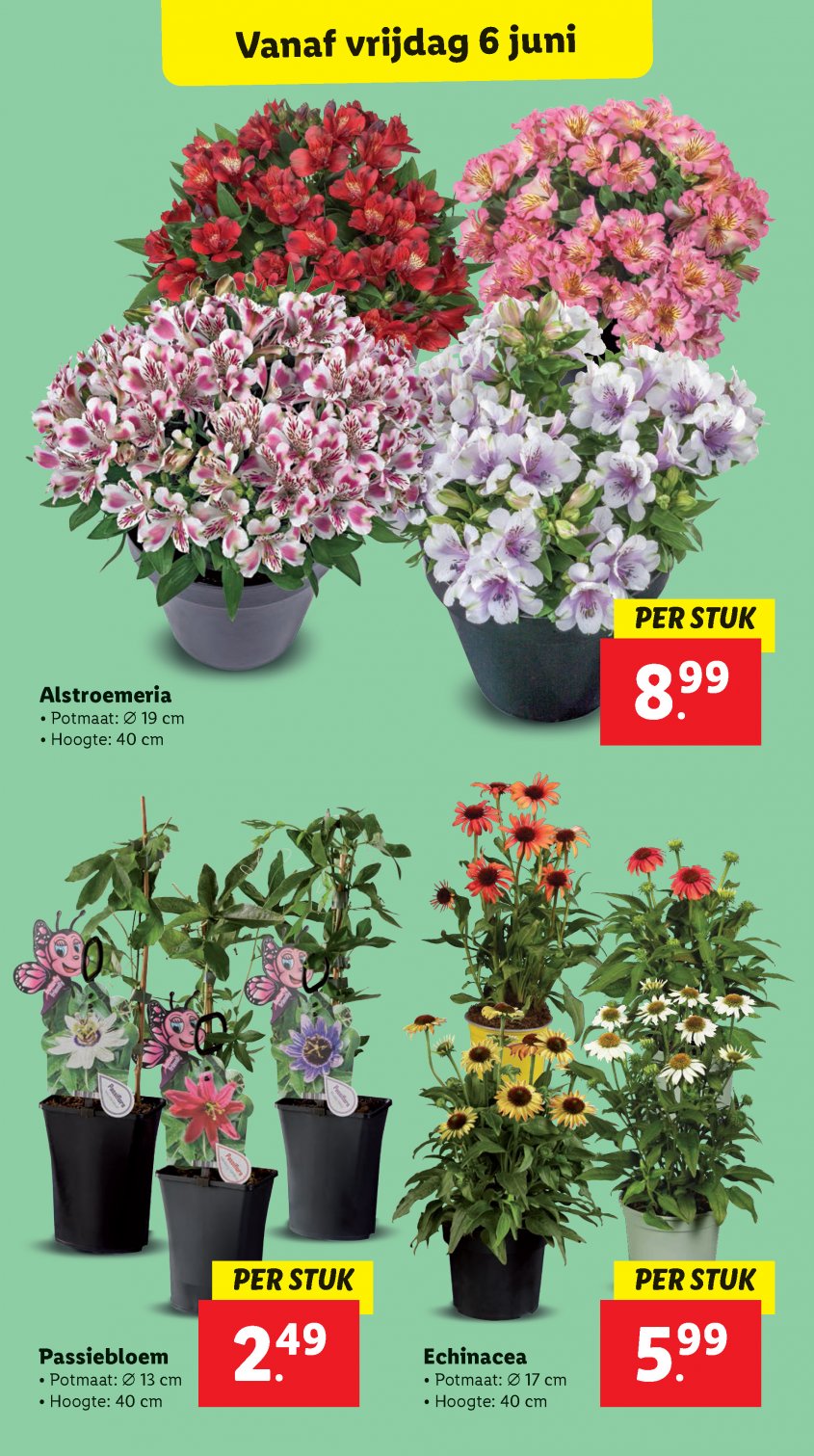 Lidl Aanbiedingen van 02-06-2025 pagina.17