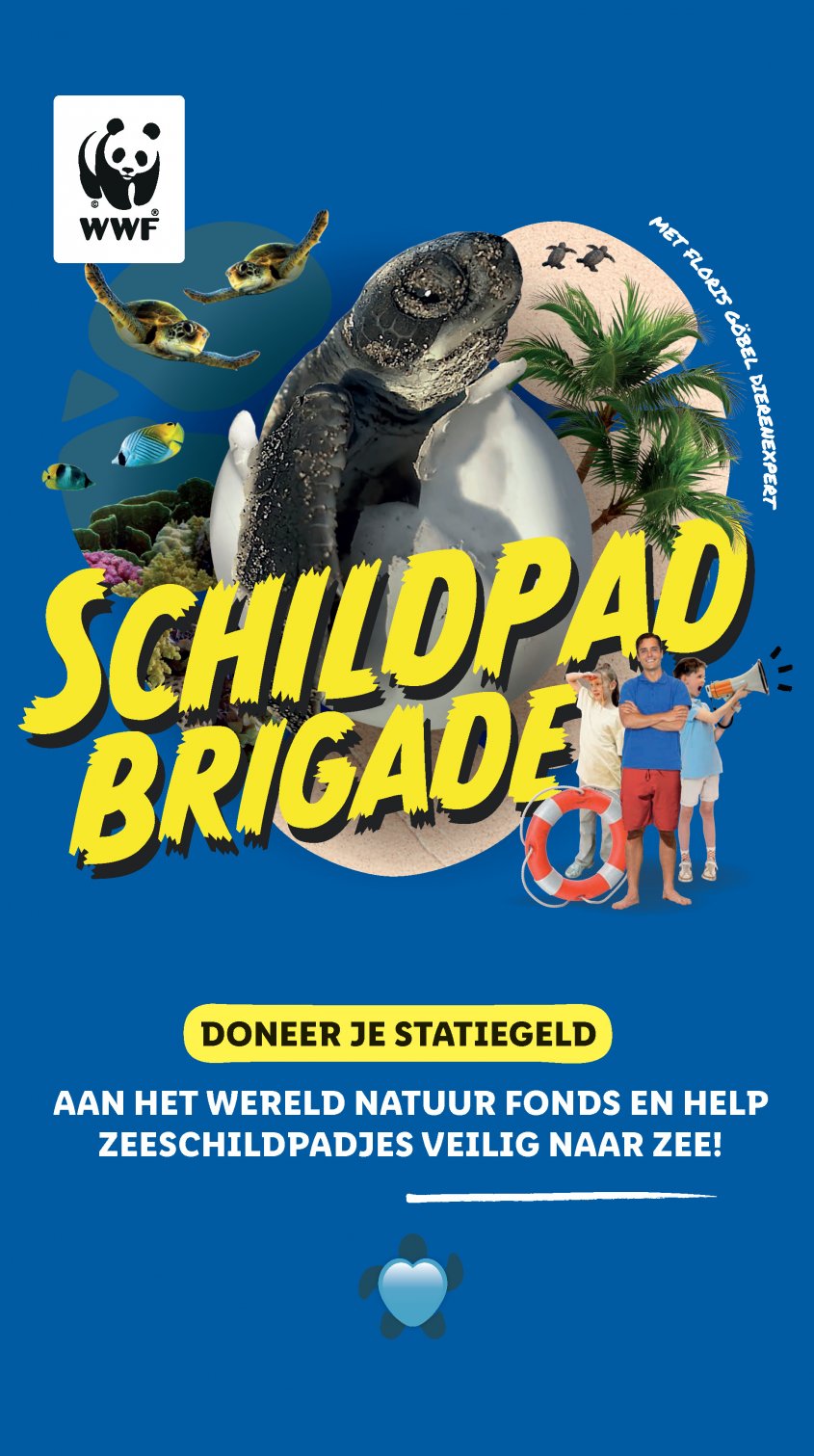 Lidl Aanbiedingen van 02-06-2025 pagina.18