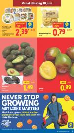 Lidl reclame folder week 24, pagina.3
