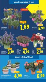 Lidl reclame folder week 24, pagina.16