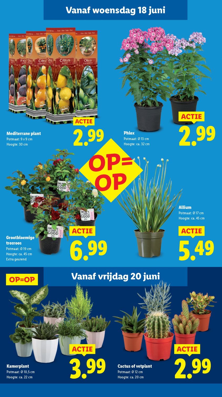 Lidl Aanbiedingen van 16-06-2025 pagina.15