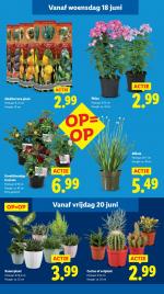 Lidl reclame folder week 25, pagina.15