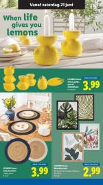 Lidl reclame folder week 25, pagina.29