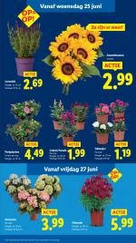 Lidl reclame folder week 26, pagina.12