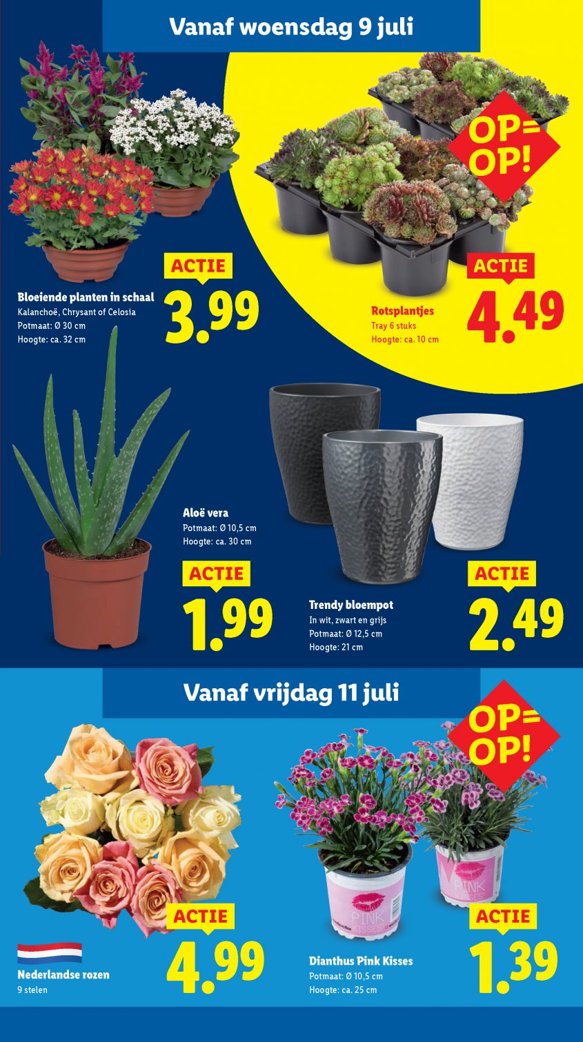 Lidl Aanbiedingen van 07-07-2025 pagina.12