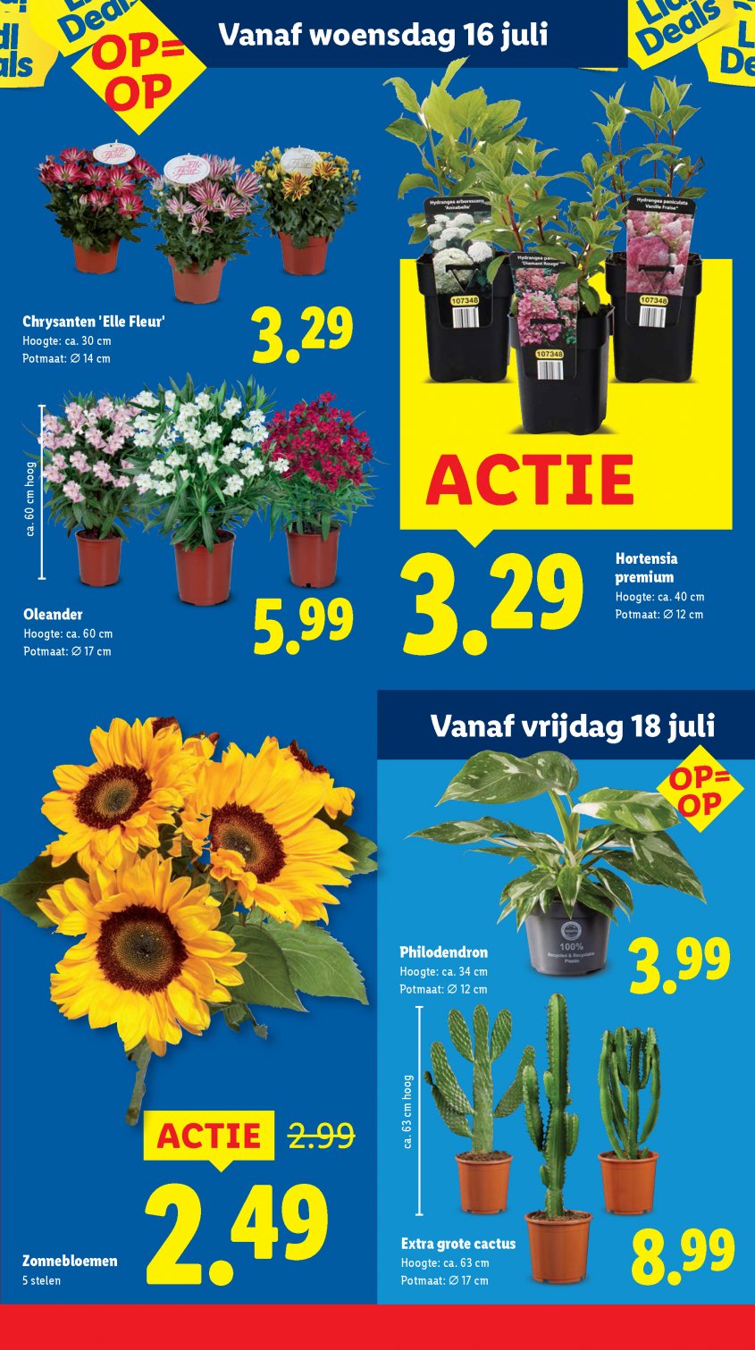 Lidl Aanbiedingen van 14-07-2025 pagina.15