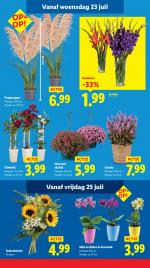 Lidl reclame folder week 30, pagina.16