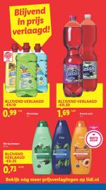 Lidl reclame folder week 32, pagina.3