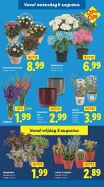 Lidl reclame folder week 32, pagina.14