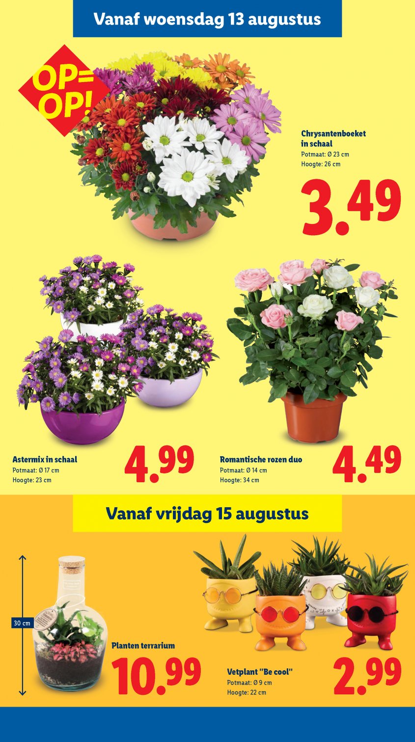 Lidl Aanbiedingen van 11-08-2025 pagina.17
