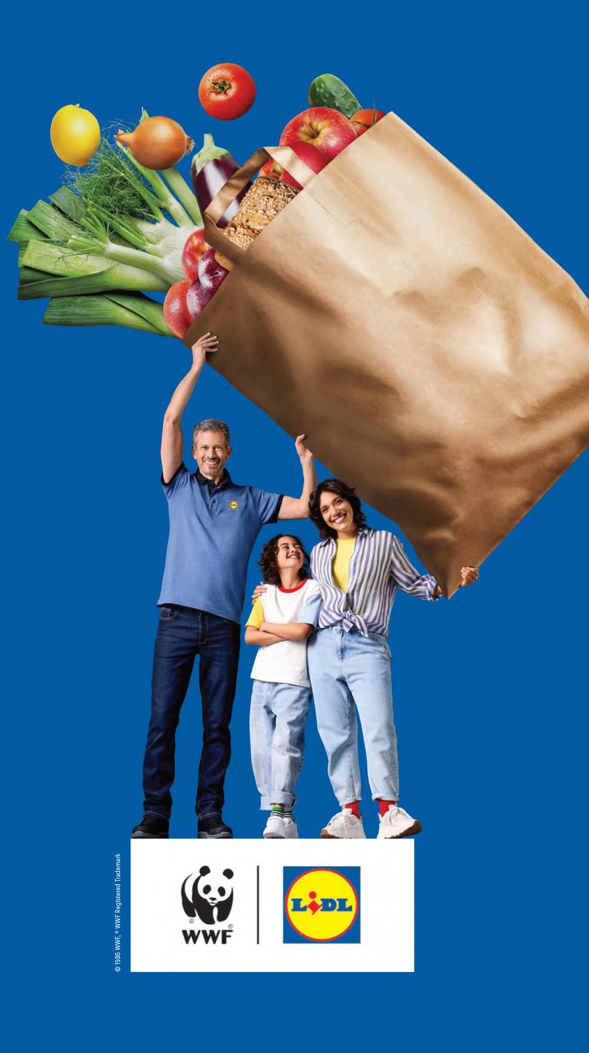 Lidl Aanbiedingen van 11-08-2025 pagina.37