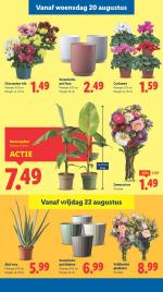 Lidl reclame folder week 34, pagina.16