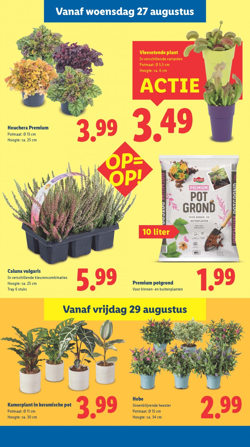 Lidl Aanbiedingen van 25-08-2025 pagina.19