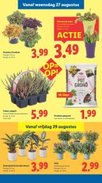 Lidl reclame folder week 35, pagina.19