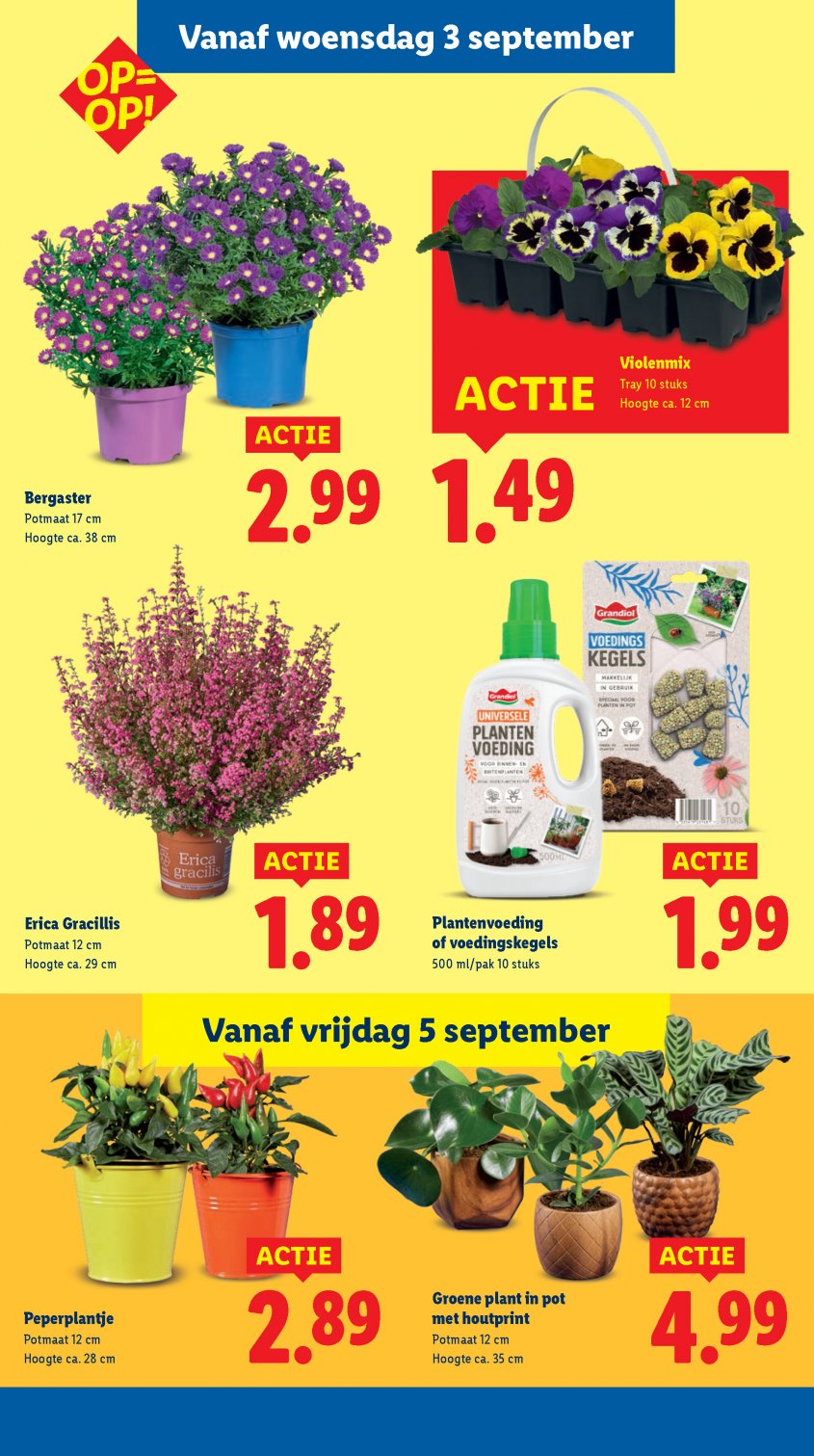 Lidl Aanbiedingen van 01-09-2025 pagina.29