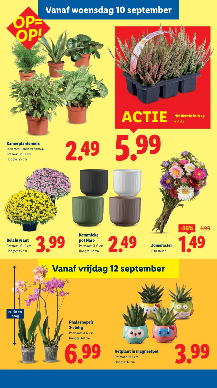 Lidl Aanbiedingen van 08-09-2025 pagina.29