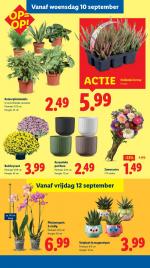 Lidl reclame folder week 37, pagina.29