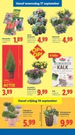 Lidl reclame folder week 38, pagina.31