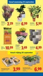 Lidl reclame folder week 39, pagina.18