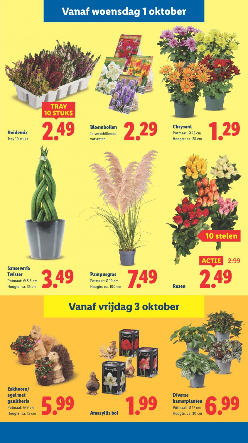 Lidl Aanbiedingen van 29-09-2025 pagina.21