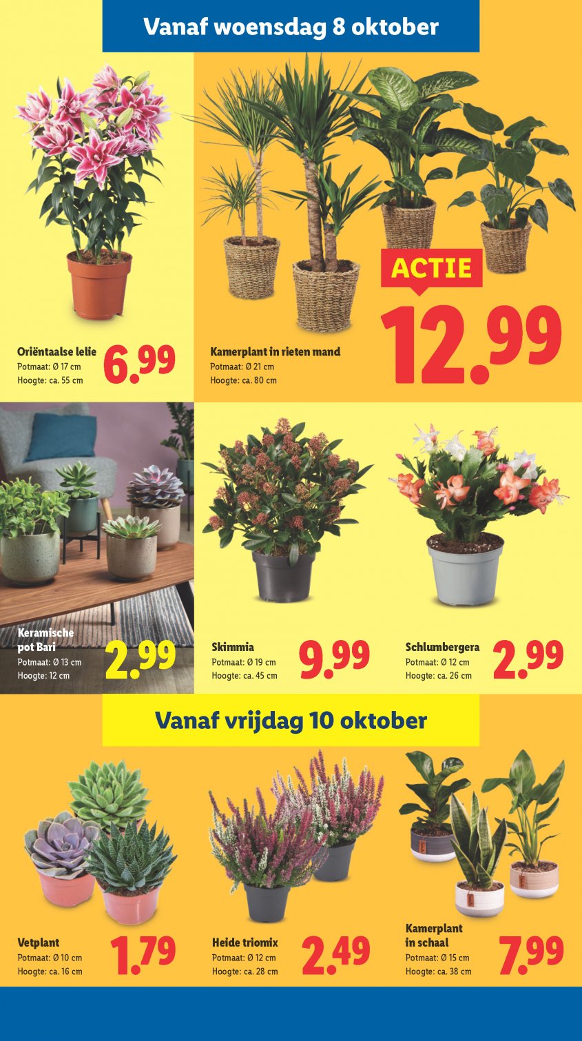 Lidl Aanbiedingen van 06-10-2025 pagina.35