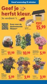 Lidl reclame folder week 42, pagina.30