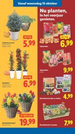 Lidl reclame folder week 42, pagina.31