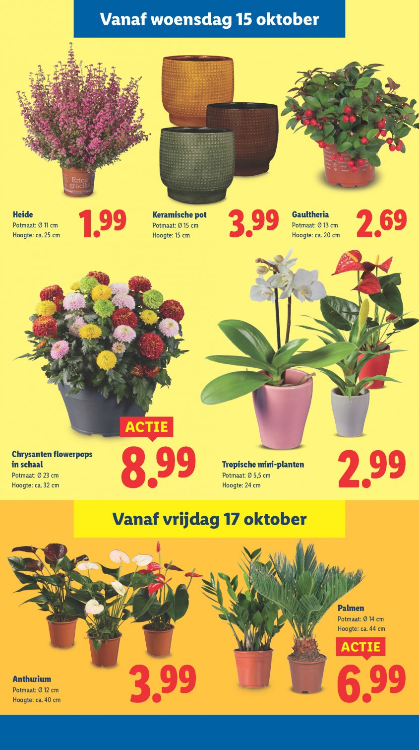 Lidl Aanbiedingen van 13-10-2025 pagina.29