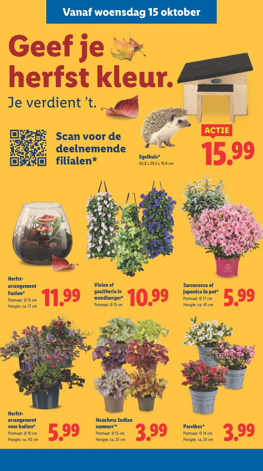 Lidl Aanbiedingen van 13-10-2025 pagina.30