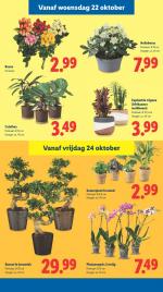 Lidl reclame folder week 43, pagina.23