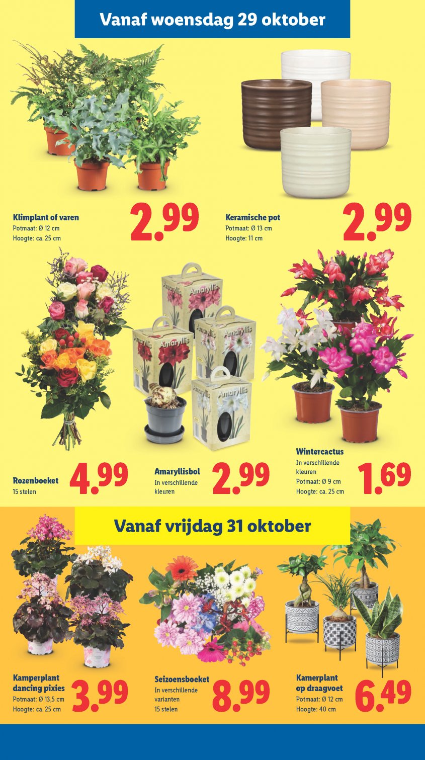 Lidl Aanbiedingen van 27-10-2025 pagina.21
