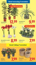 Lidl reclame folder week 45, pagina.21