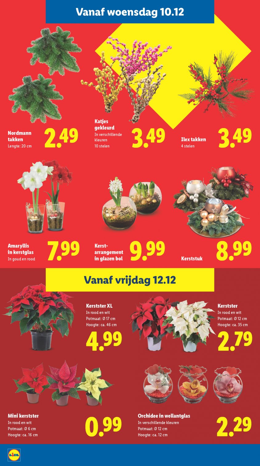 Lidl Aanbiedingen van 08-12-2025 pagina.24