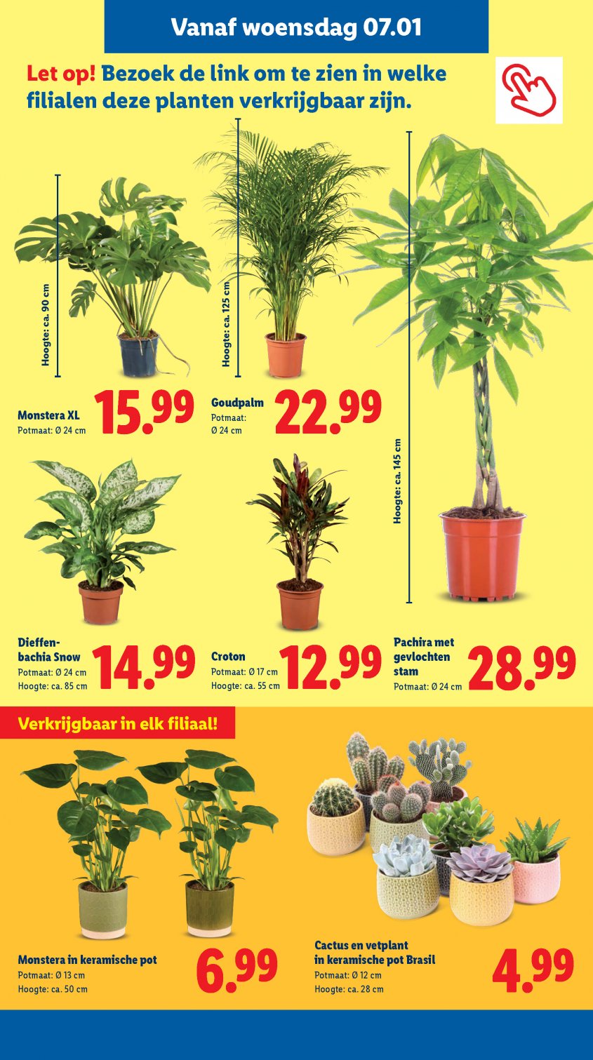 Lidl Aanbiedingen van 05-01-2026 pagina.17