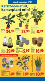 Lidl reclame folder week 02, pagina.16
