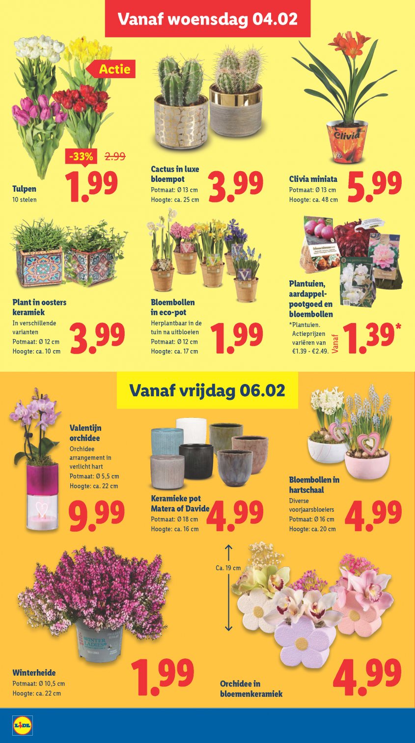 Lidl Aanbiedingen van 02-02-2026 pagina.17