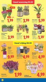 Lidl reclame folder week 06, pagina.17