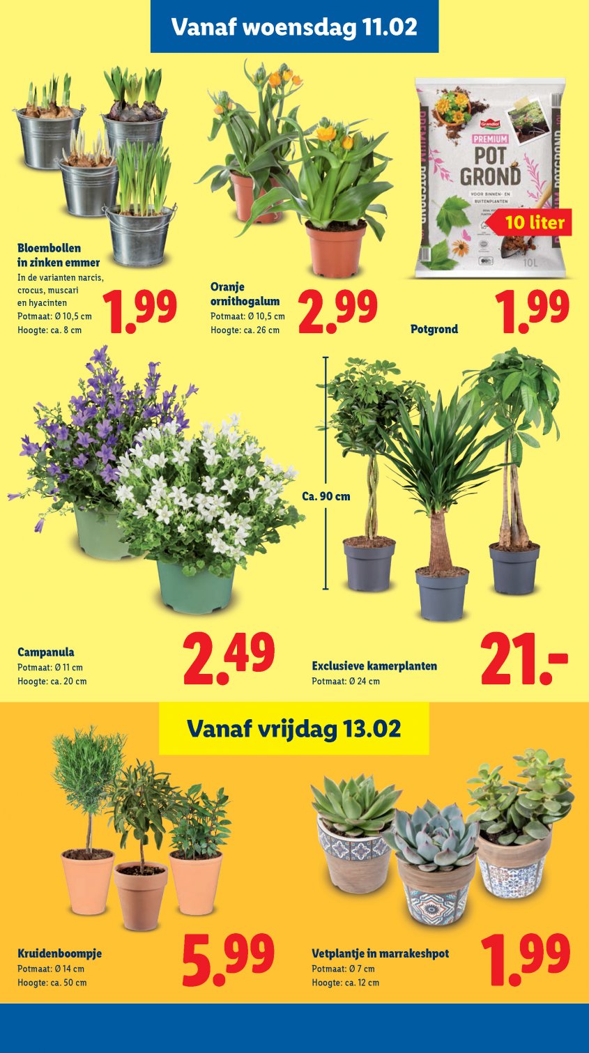 Lidl Aanbiedingen van 09-02-2026 pagina.17