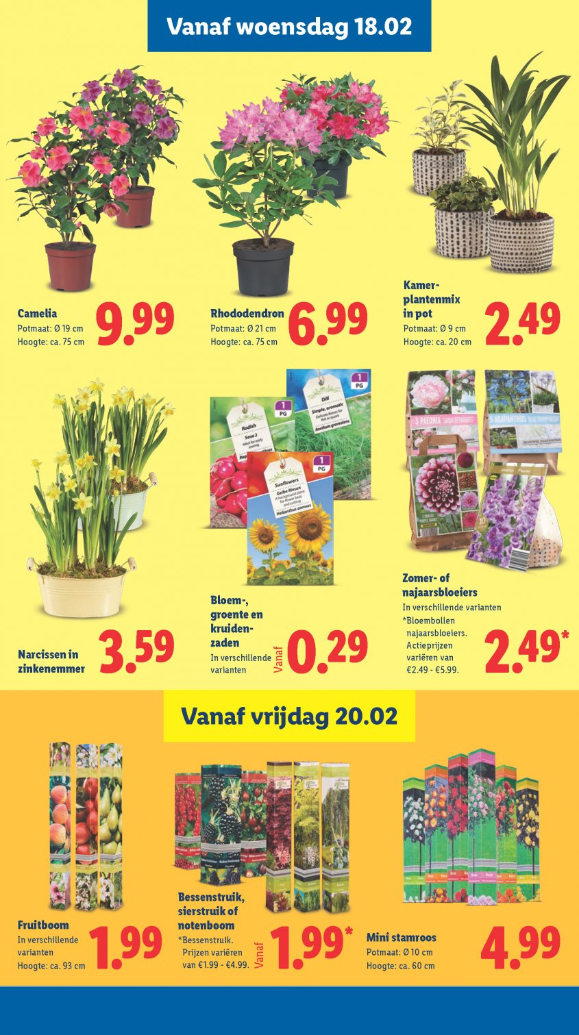 Lidl Aanbiedingen van 16-02-2026 pagina.15