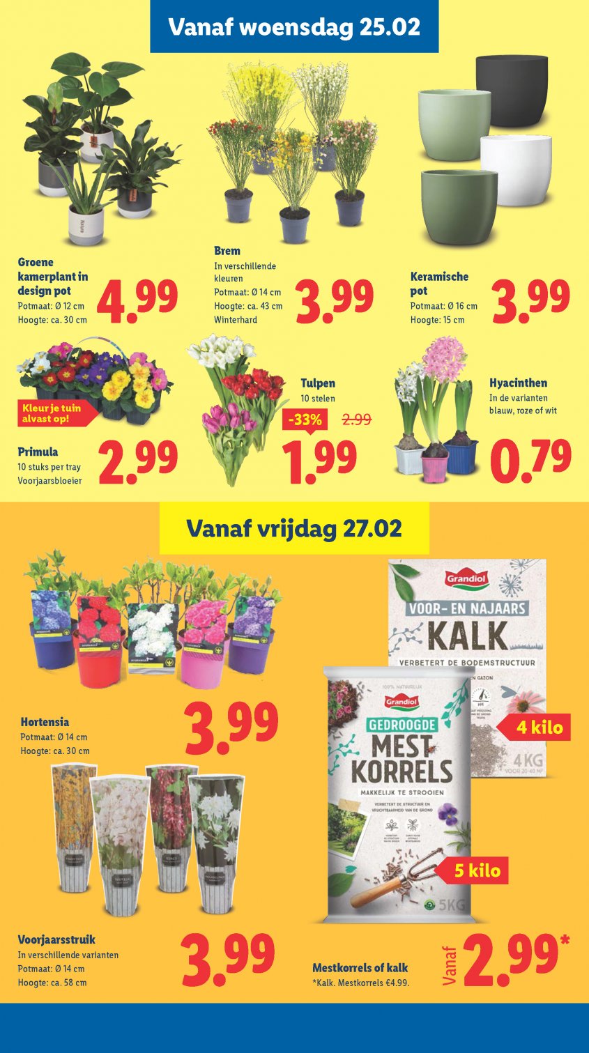 Lidl Aanbiedingen van 23-02-2026 pagina.17