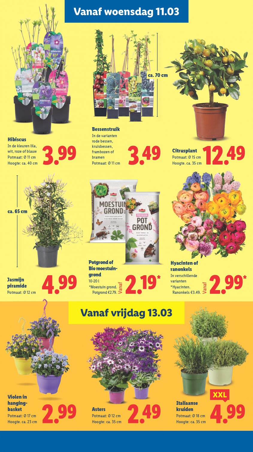 Lidl Aanbiedingen van 09-03-2026 pagina.18