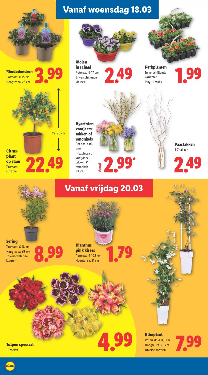 Lidl Aanbiedingen van 16-03-2026 pagina.18