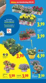 Lidl reclame folder week 15, pagina.37