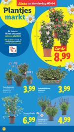 Lidl reclame folder week 15, pagina.38