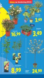 Lidl reclame folder week 15, pagina.39
