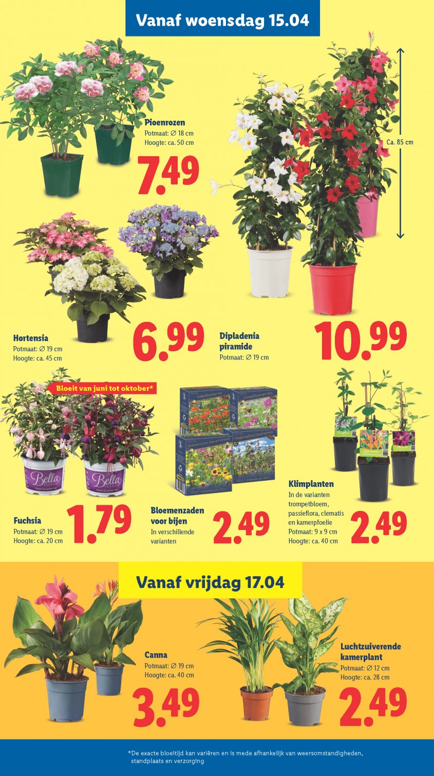 Lidl Aanbiedingen van 13-04-2026 pagina.24