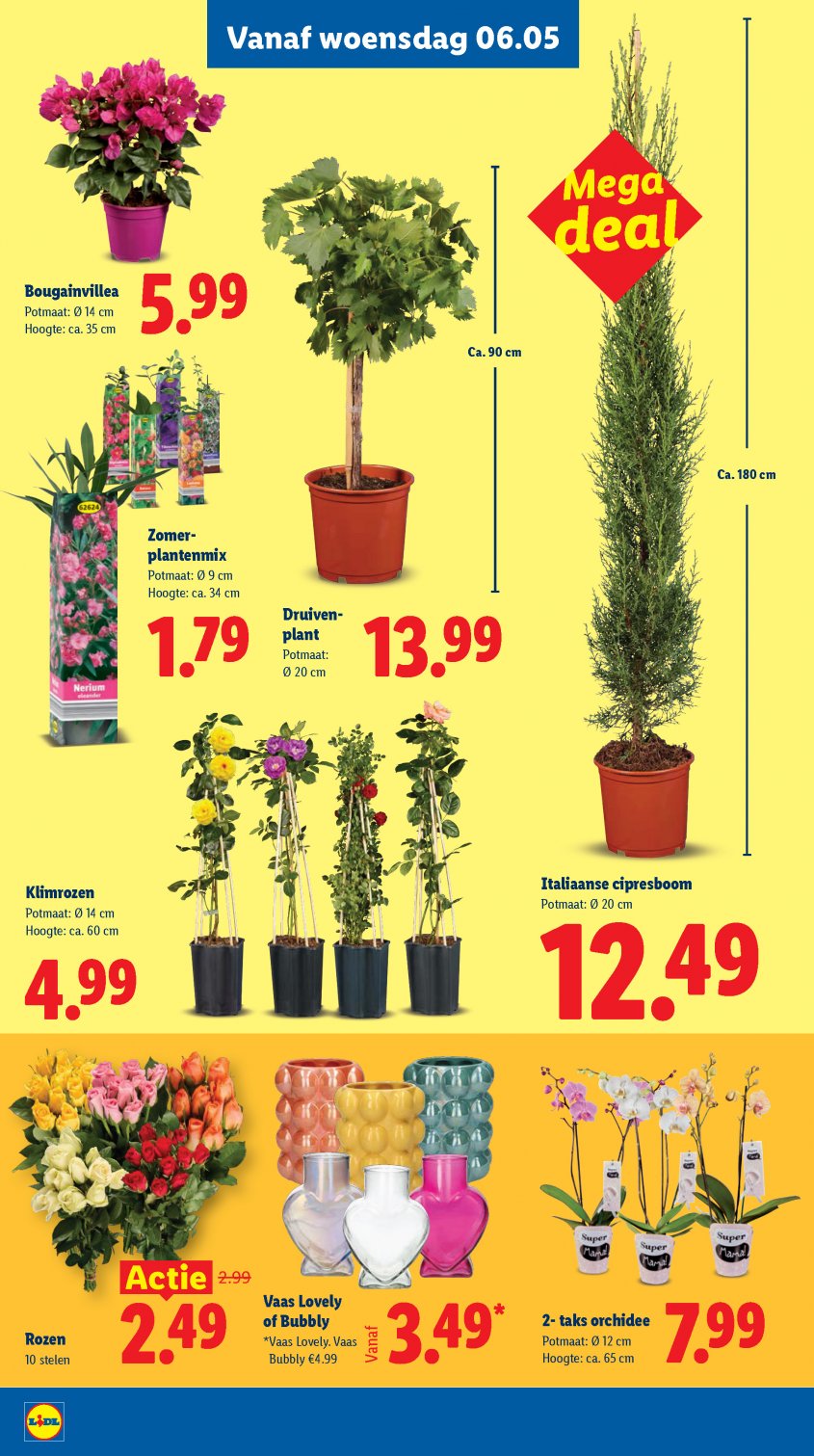 Lidl Aanbiedingen van 04-05-2026 pagina.25