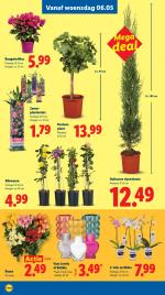 Lidl reclame folder week 19, pagina.25